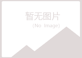 峡江县岑迷咨询有限公司